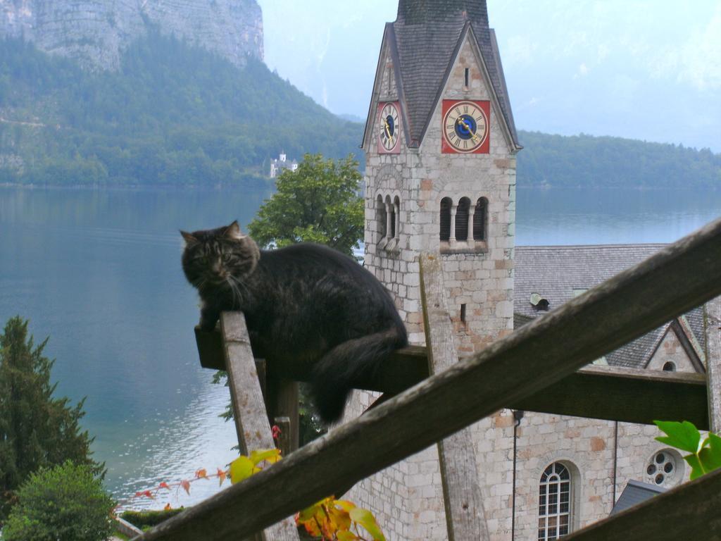 Ferienwohnung Haus Salzberg Hallstatt Exterior foto